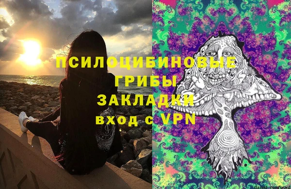 первитин Алексеевка